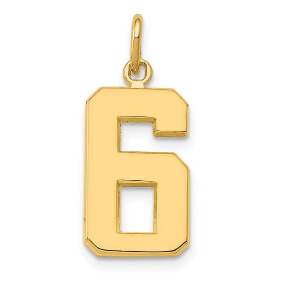14k Yellow Gold, Athletic Collection Medium Polished Number 6 Pendant - Picture 1 of 6